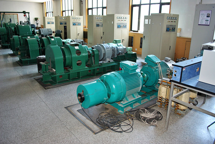 徐汇某热电厂使用我厂的YKK高压电机提供动力
